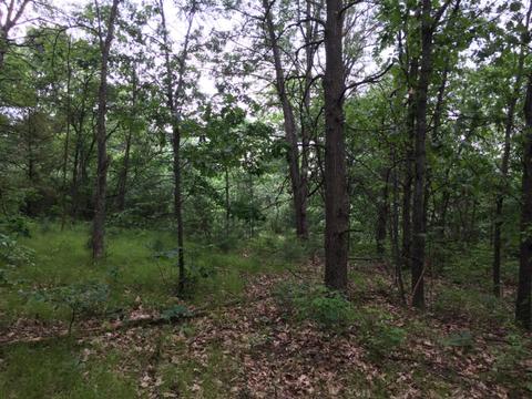 1559 S Locust Ave, White Cloud, MI 49349 photo 1