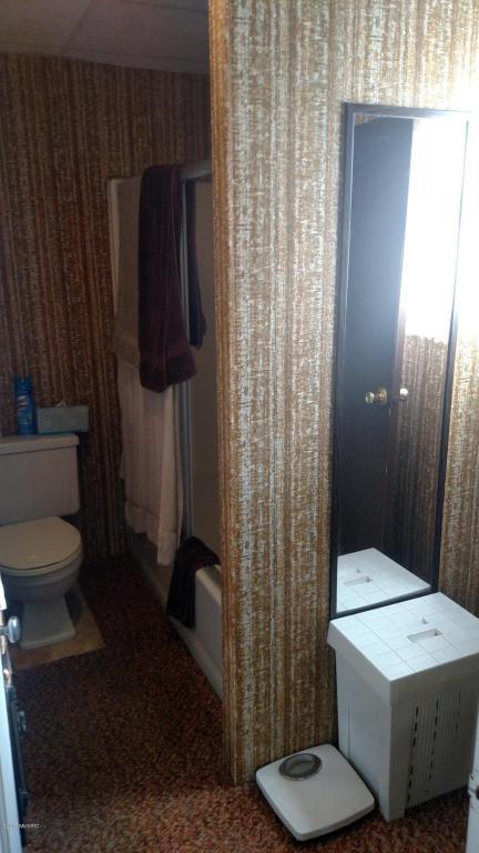 111 E Liberty St, Belding, MI 48809 photo 23