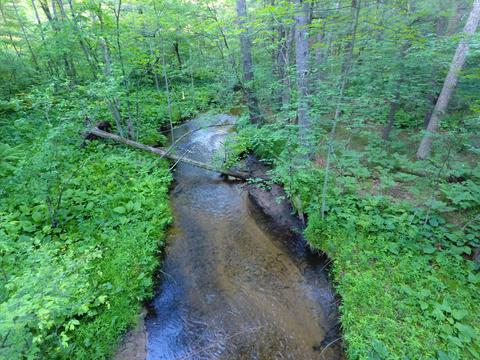 3382 S Walnut Ave, White Cloud, MI 49349 photo 1