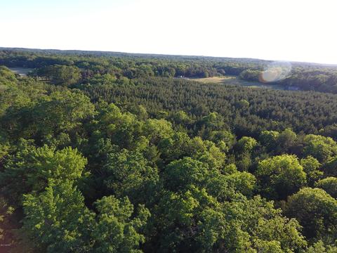 3382 S Walnut Ave, White Cloud, MI 49349 photo 13