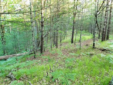3382 S Walnut Ave, White Cloud, MI 49349 photo 9