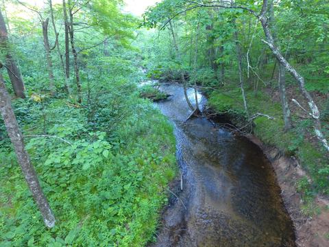 3382 S Walnut Ave, White Cloud, MI 49349 photo 3