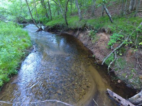 3382 S Walnut Ave, White Cloud, MI 49349 photo 2