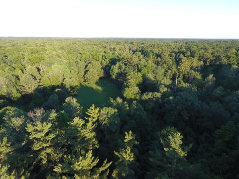 3382 S Walnut Ave, White Cloud, MI 49349 photo 12