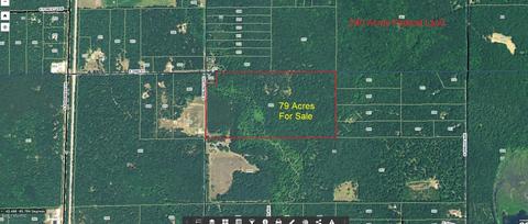 3382 S Walnut Ave, White Cloud, MI 49349 photo 16