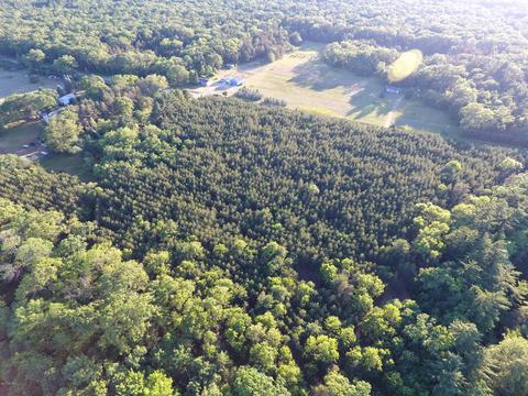 3382 S Walnut Ave, White Cloud, MI 49349 photo 14
