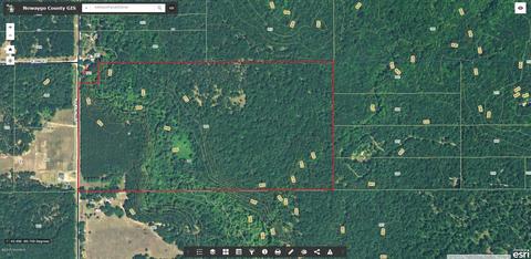3382 S Walnut Ave, White Cloud, MI 49349 photo 17