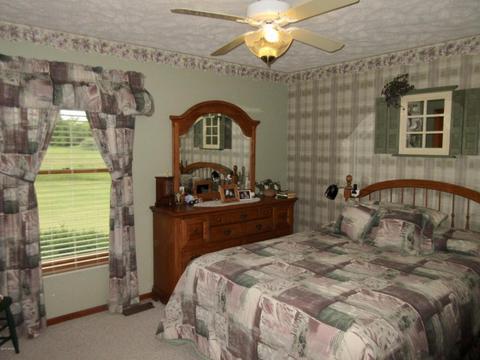 1381 E Fenwick Rd, Fenwick, MI 48834 photo 22