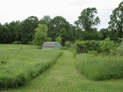 1381 E Fenwick Rd, Fenwick, MI 48834 photo 10