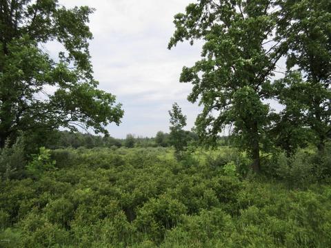 1381 E Fenwick Rd, Fenwick, MI 48834 photo 12