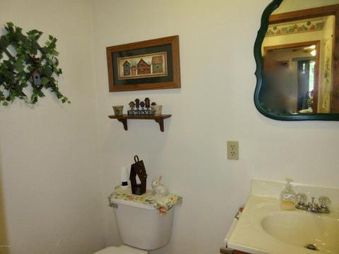 1381 E Fenwick Rd, Fenwick, MI 48834 photo 28