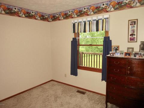 1381 E Fenwick Rd, Fenwick, MI 48834 photo 24