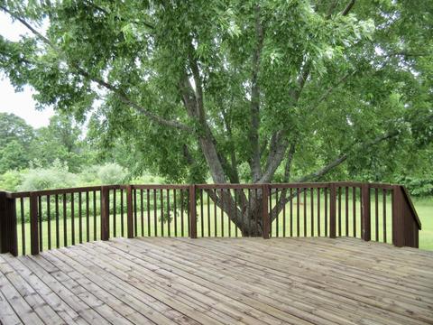 1381 E Fenwick Rd, Fenwick, MI 48834 photo 6