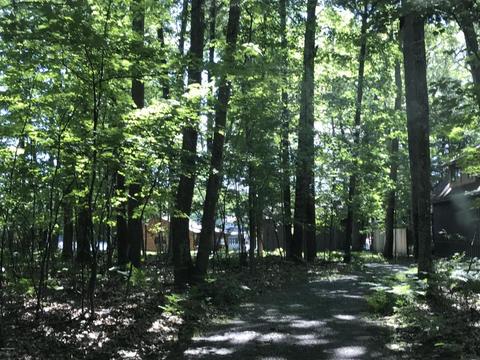 6476 N Matson Rd, Irons, MI 49644 photo 24
