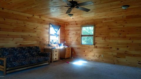 3701 E Buchanan St, White Cloud, MI 49349 photo 8