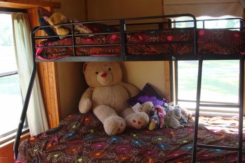 1139 E Tuttle Rd, Ionia, MI 48846 photo 15