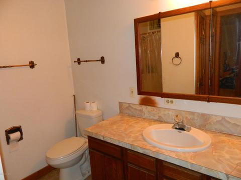 8780 Krupp Rd, Belding, MI 48809 photo 20