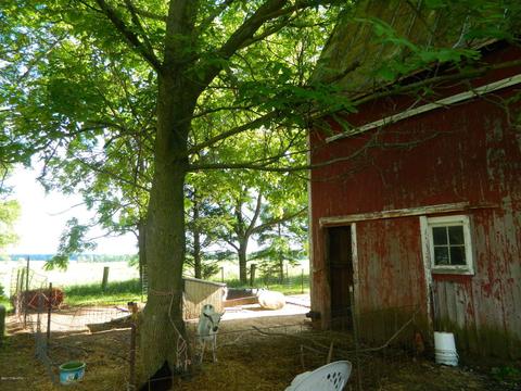 8780 Krupp Rd, Belding, MI 48809 photo 4