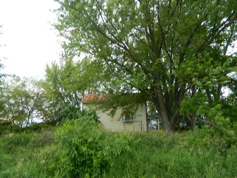 8780 Krupp Rd, Belding, MI 48809 photo 11