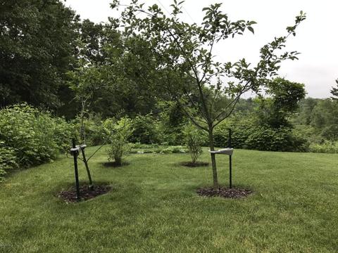 8875 Bluff, Newaygo, MI 49337 photo 30