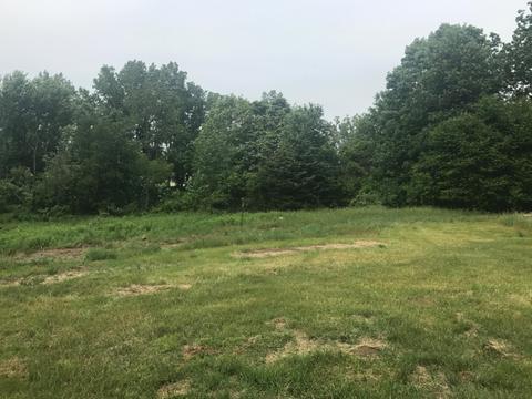 6203 111th Ave, Pullman, MI 49450 photo 27