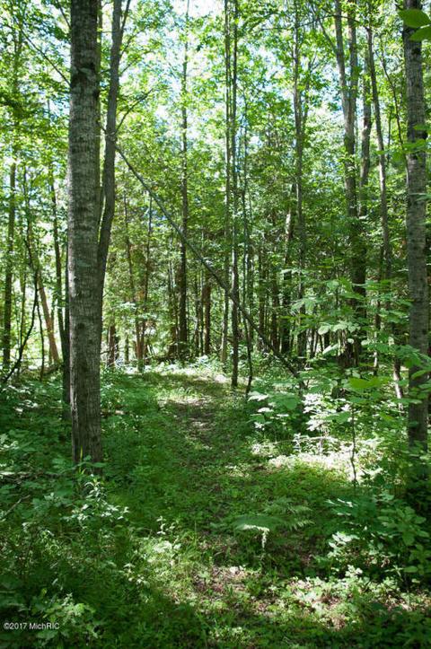 5698 Logging Trail Dr, Sears, MI 49679 photo 19