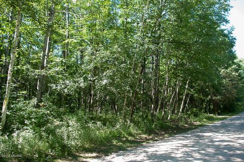 5698 Logging Trail Dr, Sears, MI 49679 photo 18