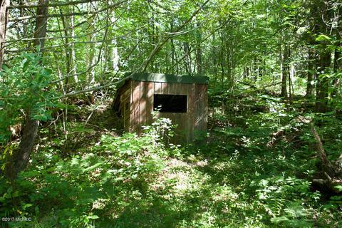 5698 Logging Trail Dr, Sears, MI 49679 photo 20