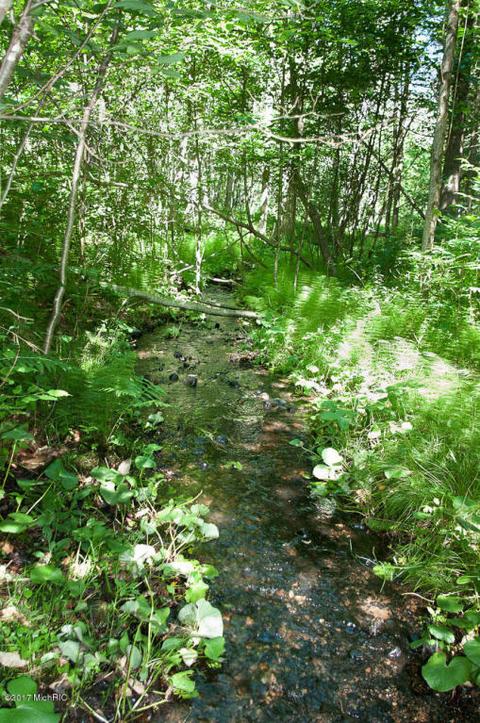 5698 Logging Trail Dr, Sears, MI 49679 photo 21