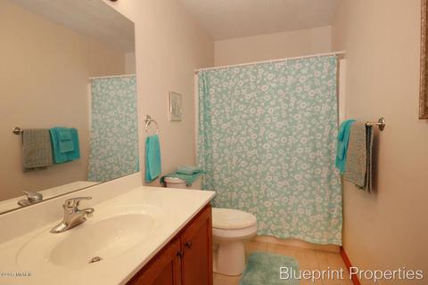 1375 5th St, Belding, MI 48809 photo 18