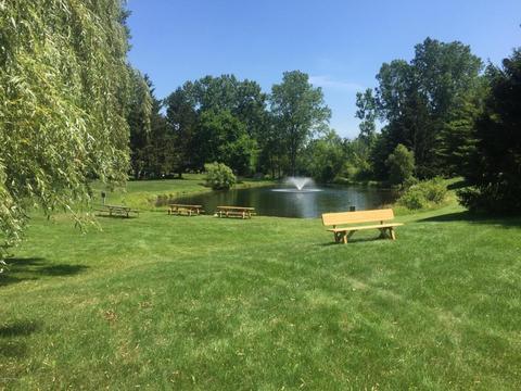 6151 Witherbee Dr SE, Ada, MI 49301 photo 50