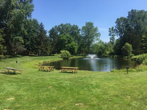 6151 Witherbee Dr SE, Ada, MI 49301 photo 51