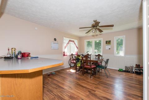117 E Van Buren St, Bellevue, MI 49021 photo 9