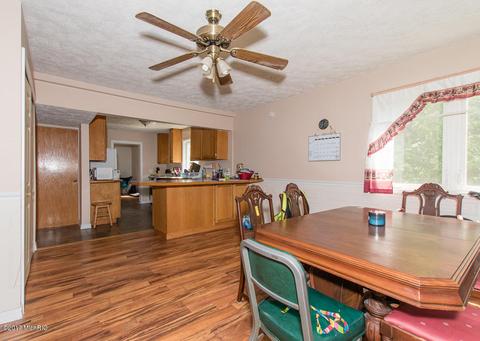 117 E Van Buren St, Bellevue, MI 49021 photo 11