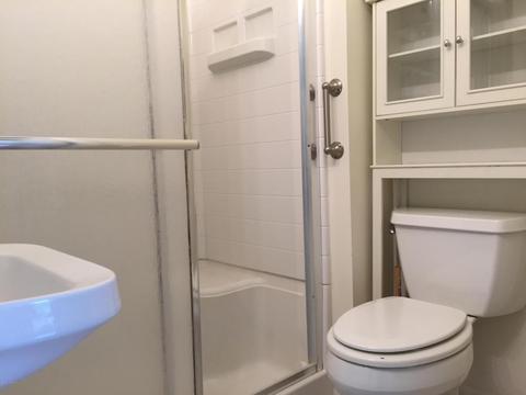 335 Chippewa St, Buchanan, MI 49107 photo 10