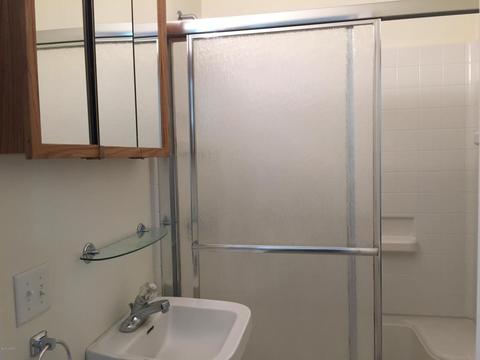 335 Chippewa St, Buchanan, MI 49107 photo 11