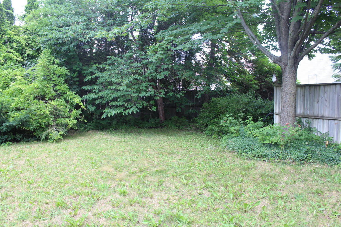 114 W Park St, Crystal, MI 48818 photo 48
