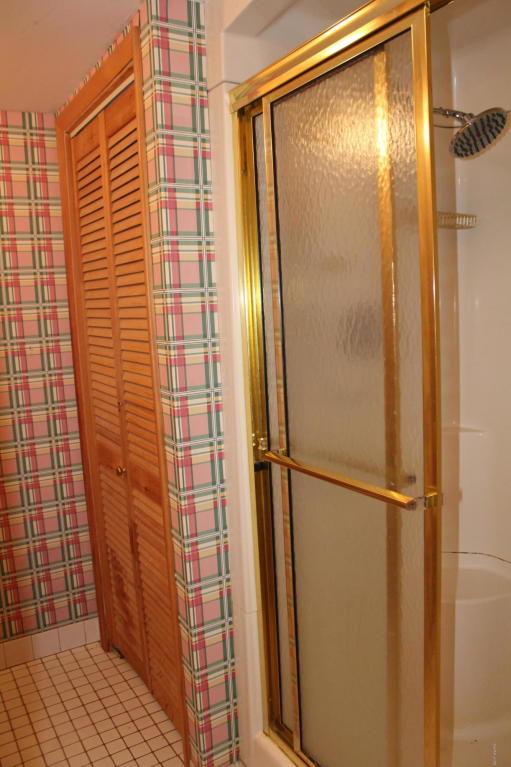 114 W Park St, Crystal, MI 48818 photo 31