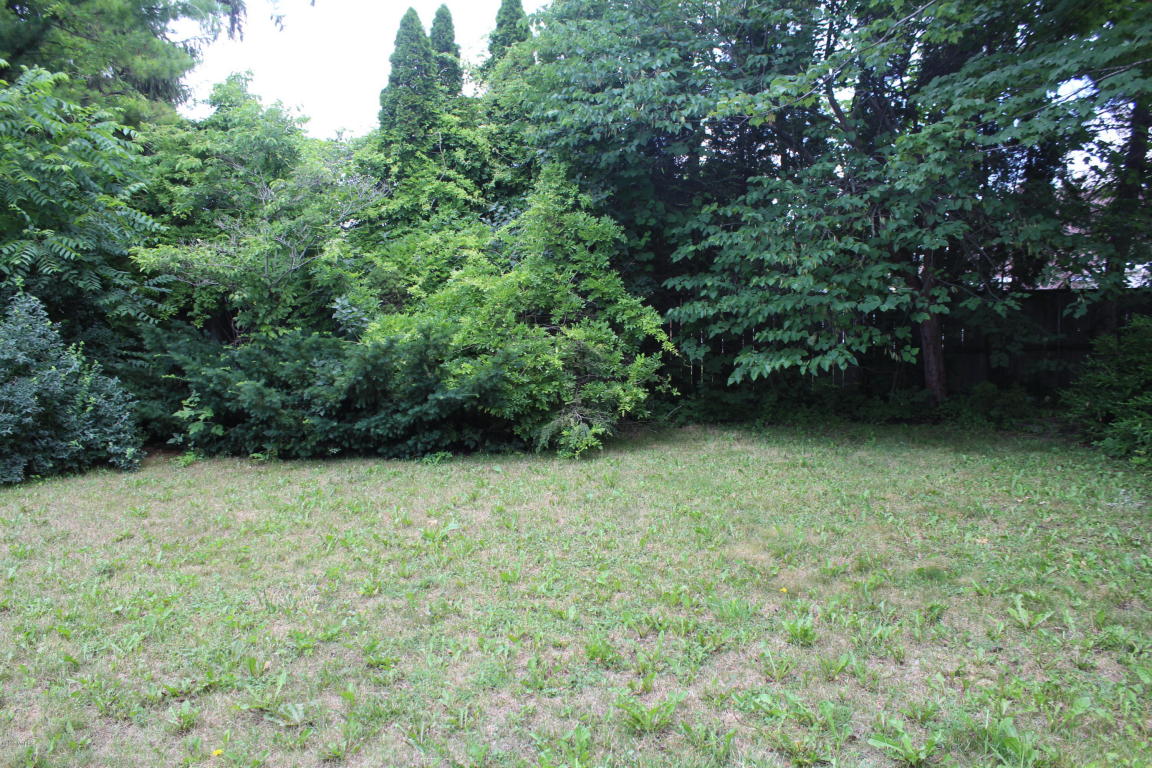 114 W Park St, Crystal, MI 48818 photo 49