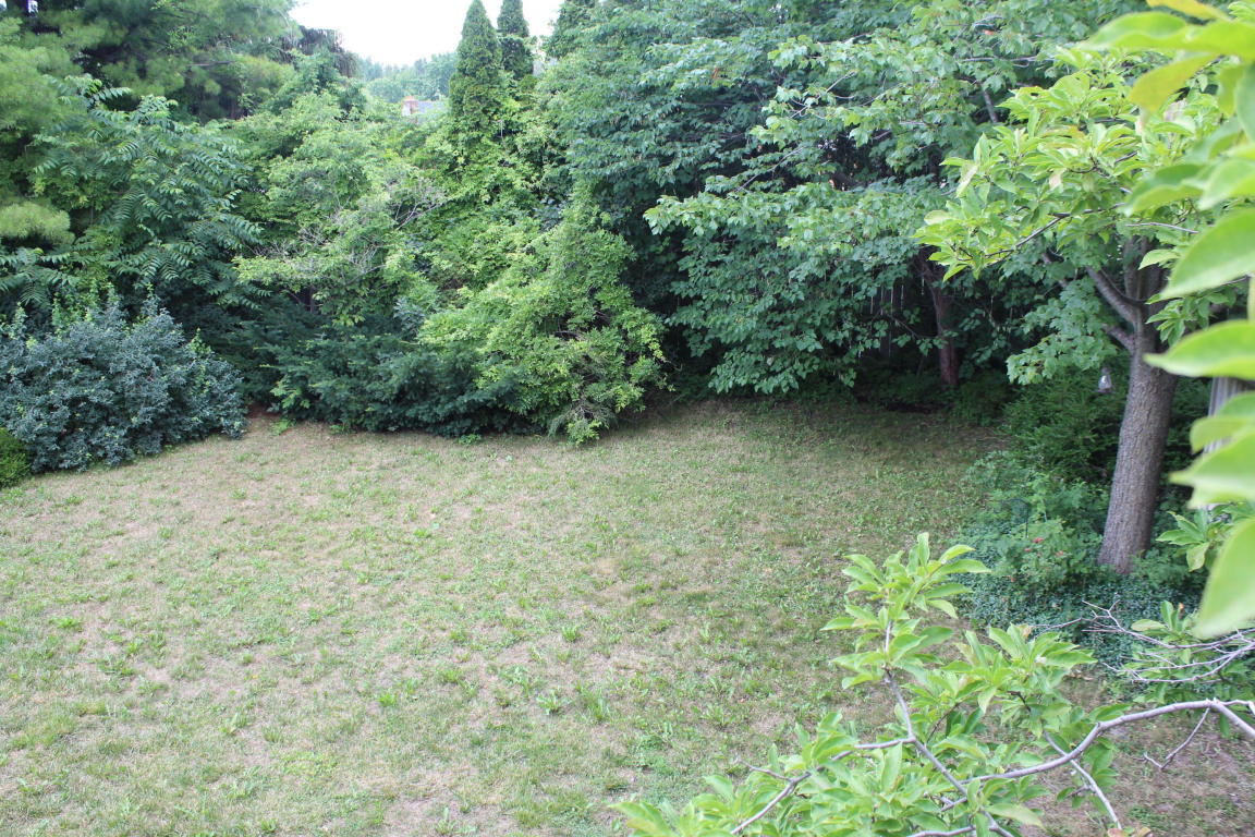 114 W Park St, Crystal, MI 48818 photo 46