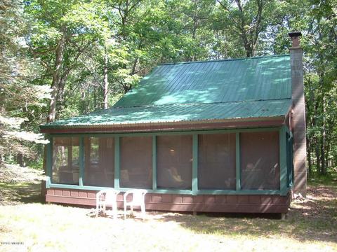 7290 James Rd, Irons, MI 49644 photo 2