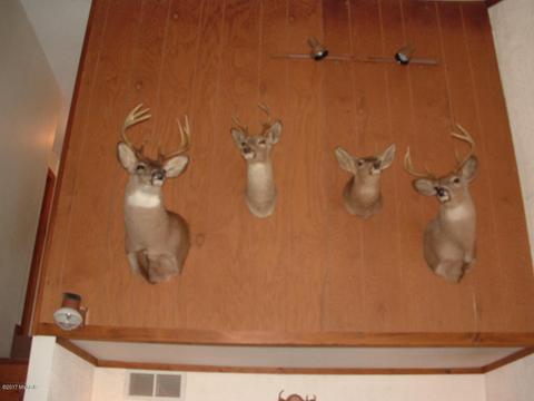 7290 James Rd, Irons, MI 49644 photo 7