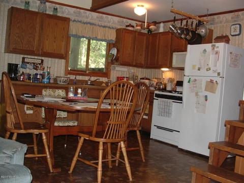 7290 James Rd, Irons, MI 49644 photo 9