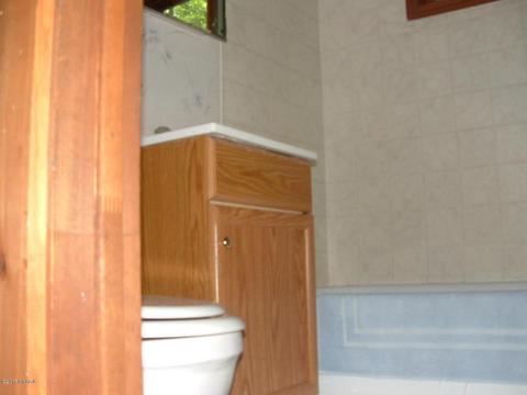 7290 James Rd, Irons, MI 49644 photo 11
