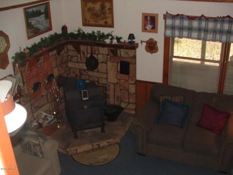 7290 James Rd, Irons, MI 49644 photo 6