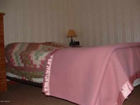 7290 James Rd, Irons, MI 49644 photo 14