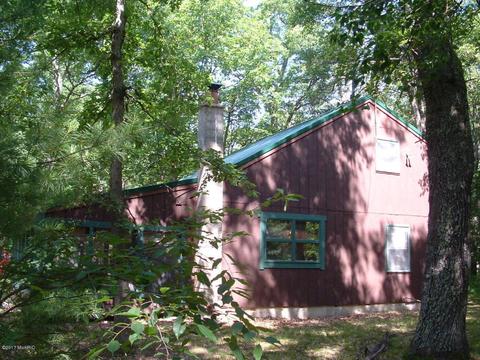 7290 James Rd, Irons, MI 49644 photo 3