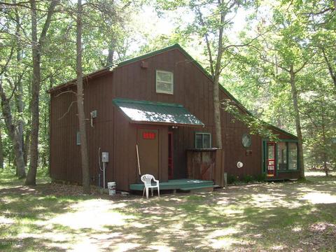 7290 James Rd, Irons, MI 49644 photo 1