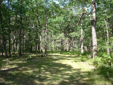 7290 James Rd, Irons, MI 49644 photo 22