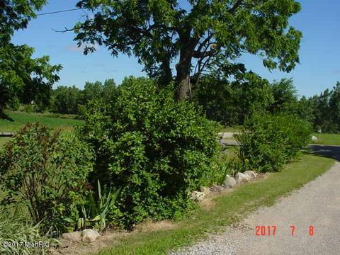 9615 Beecher, Pittsford, MI 49271 photo 20